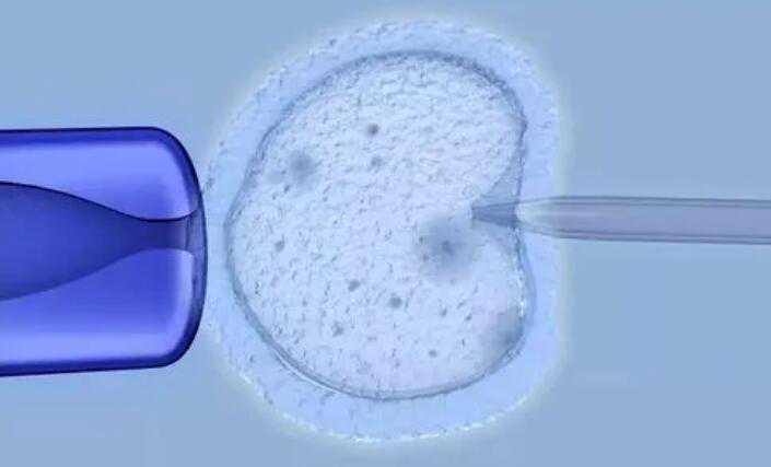 有成熟卵泡后正常多久能排出孕囊